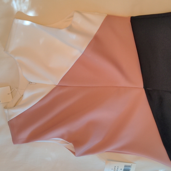 Alexia Admor Sleeveless Cut Out Neckline Color Block Scuba Knit Dress NWT Size S - Picture 5 of 6